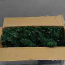 Joiedomi 9Ft Christmas Garland Prelit with 50 Count Light, Plug in Lighted for Home & Office Xmas Decorations Indoor and Outdoor Decor Holiday Decorations Xmas Garland Christmas Window Decor