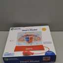Learning Resources Pumping Heart Model  Science Classroom Must Haves, STEM Student Essentials, Practice Anatomy, Cardiology Artery and Veins Study Tools, Back to School Supplies for Teachers