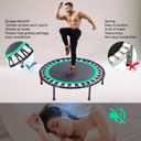 Mini Fitness Trampoline with Bungees Stable & Quiet Rebounder for Adults, Perfect for Indoor & Outdoor Workouts