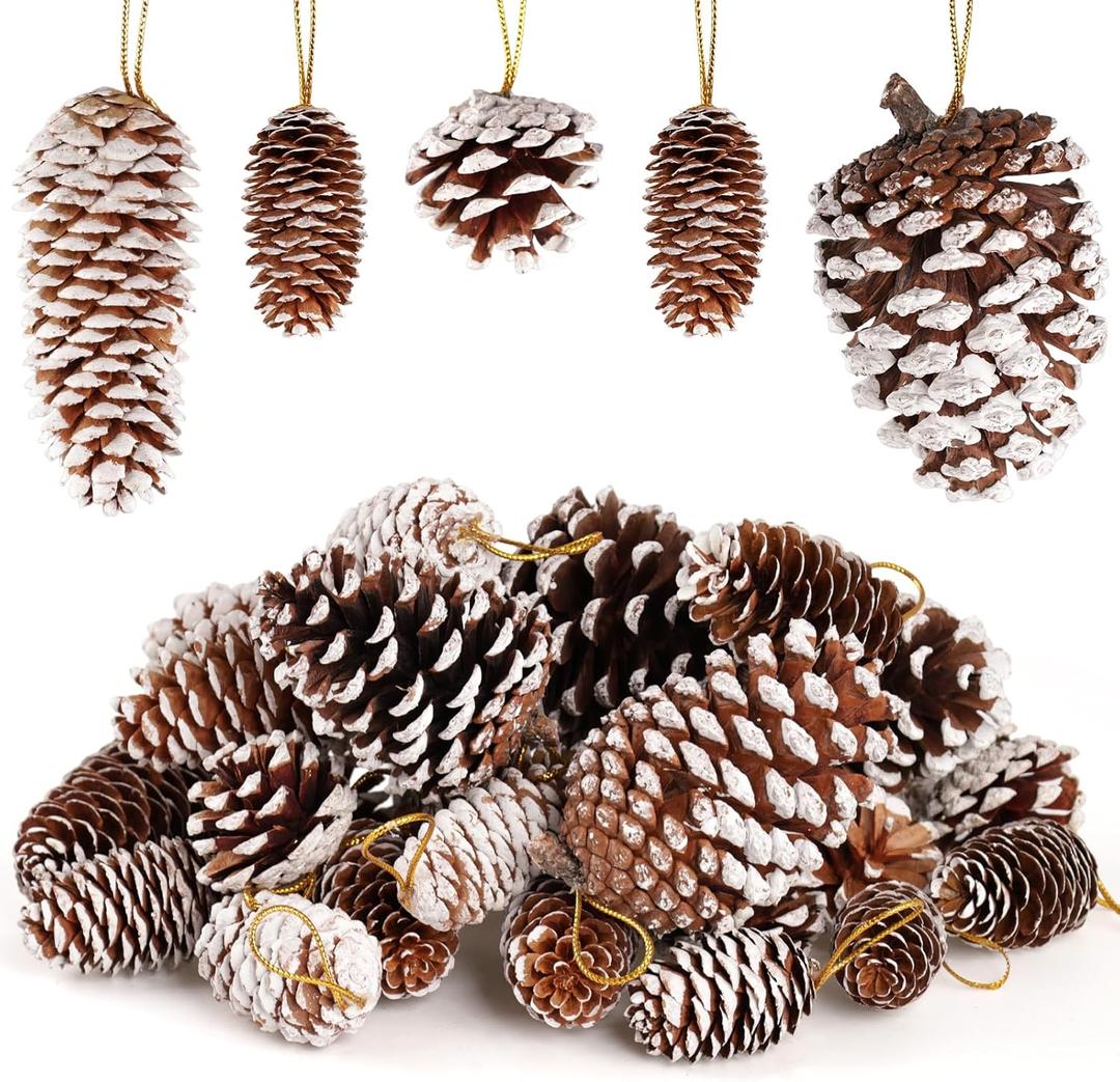 JOHOUSE 28PCS Natural Pine Cones with Strings, Hanging Christmas Ornaments, Garland/Wreath DIY, Autumn Winter Vase Fillers & Farmhouse Decor