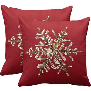 Emvency 18x18 Inch Decorative Set of 2 Throw Pillow Cover Gold Snow Natural Christmas Snowflake Crystal Ice Red Square Home Cushion Sofa Two Sides Pillow Case