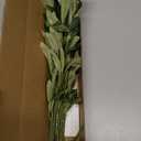 Waipfaru Faux Olive Branches for Vases, Olive Tree Branches with Lifelike Olives, Artificial Greenery Stems Decor for Centerpieces Floral Arrangements Vases (3Pcs, 18 Inch)