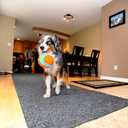 Chuckit! Indoor Fetch Ball Dog Toy for Dogs - Interactive Dog Toys for Boredom, 4.75 Inch, Orange and Blue