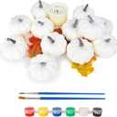 FUTUREPLUSX 12PCS Mini White Pumpkins for Decor, Fake Pumpkins to Paint, Halloween Thanksgiving Decorating Displaying