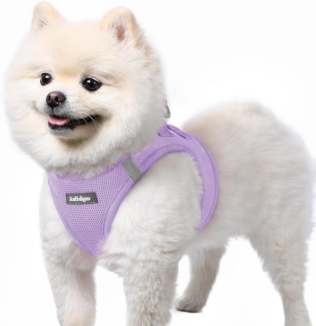 rabbitgoo Small Dog Harness, Step-in Soft Mesh Puppy Vest with Safety Buckle, Breathable Reflective Pet Harness for Small Sized Dogs, Light Purple S