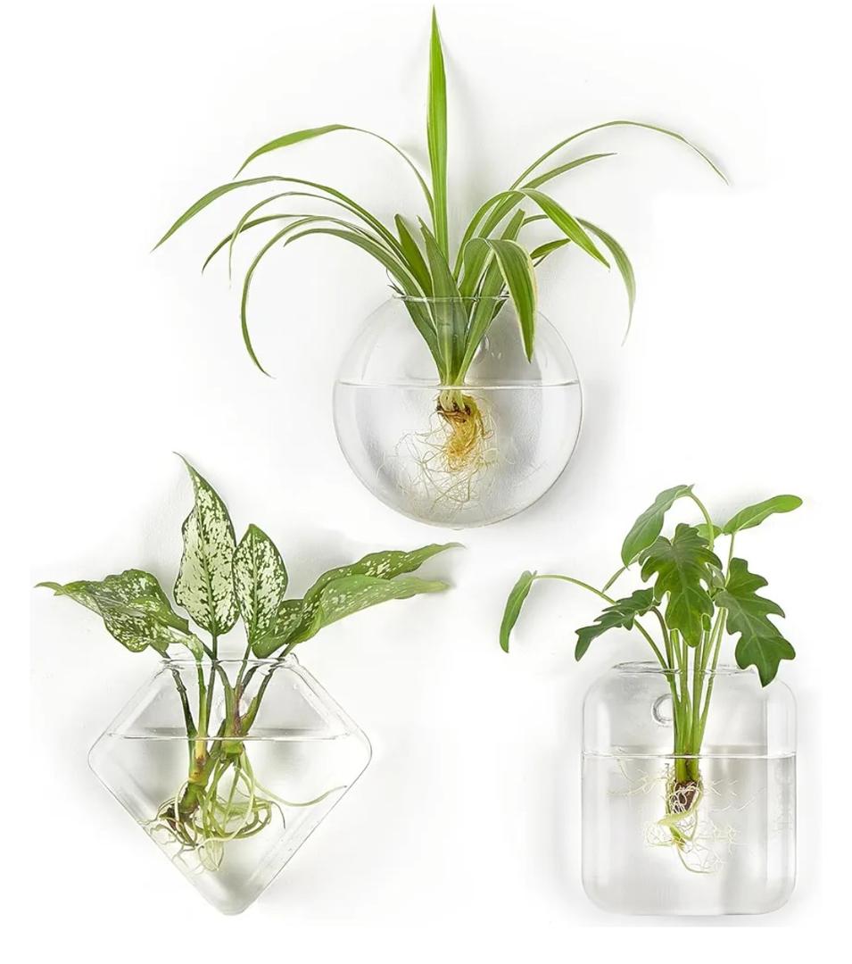 Mkono Wall Planter Propagation Stations Hanging Glass Terrariums Vase Container for Propagating Hydroponic Plants Flowers Home Office Living Room Bathroom Garden Decor, 3 Pack