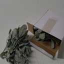 48 Pcs Artificial Lambs Ear Stems Garland Faux Greenery Stems Bulk Flocked Faux Greenery Decor Fake Lambs Ear Picks Plants for Home Wedding DIY Wreath Flower Arrangement