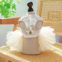 Luxury Dog Dress for Small Dogs Girl, Champagne Tulle Pet Dress with Embroidered Bowknot & D-Ring, Cat Princess Costume, Dog Wedding Dress, Puppy Formal Tutu Outfit 8.3-10lbs(Champagne,M)