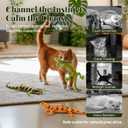 CiyvoLyeen Lizard Catnip Toys Chew Bite Resistant Toys for Indoor Cats Boredom Relief Teeth Cleaning Interactive Funny Cute Kitten Cat Lover Gifts Christmas Birthday Presents Set of 4