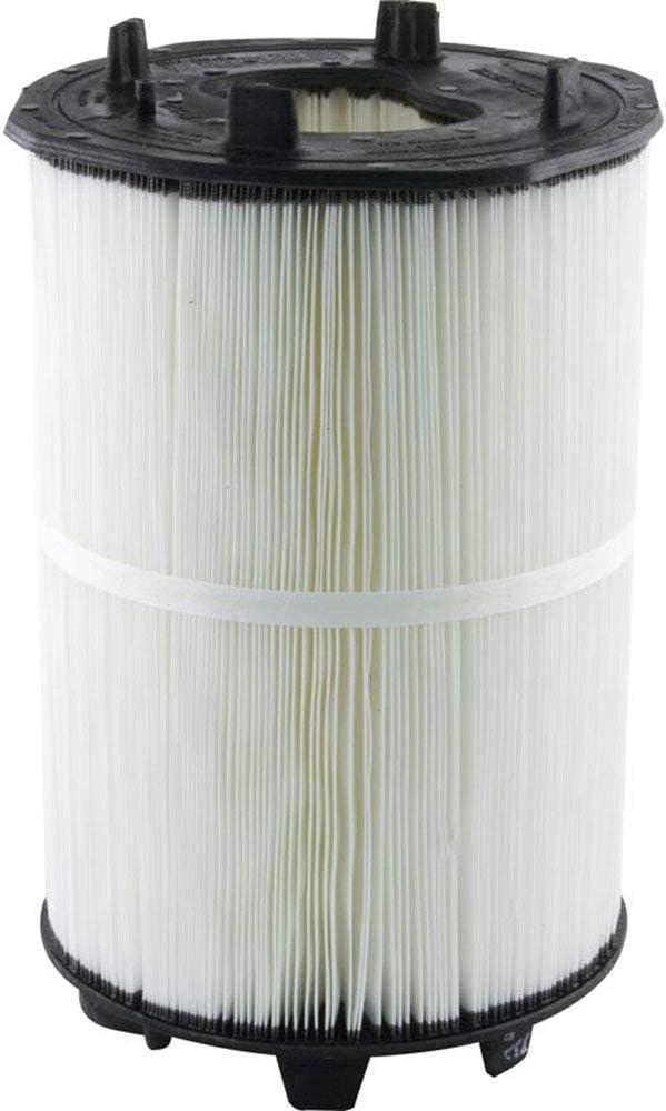 Pentair 27002-0100S Filter Module Replacement Sta-Rite Pool and Spa D.E. Filter