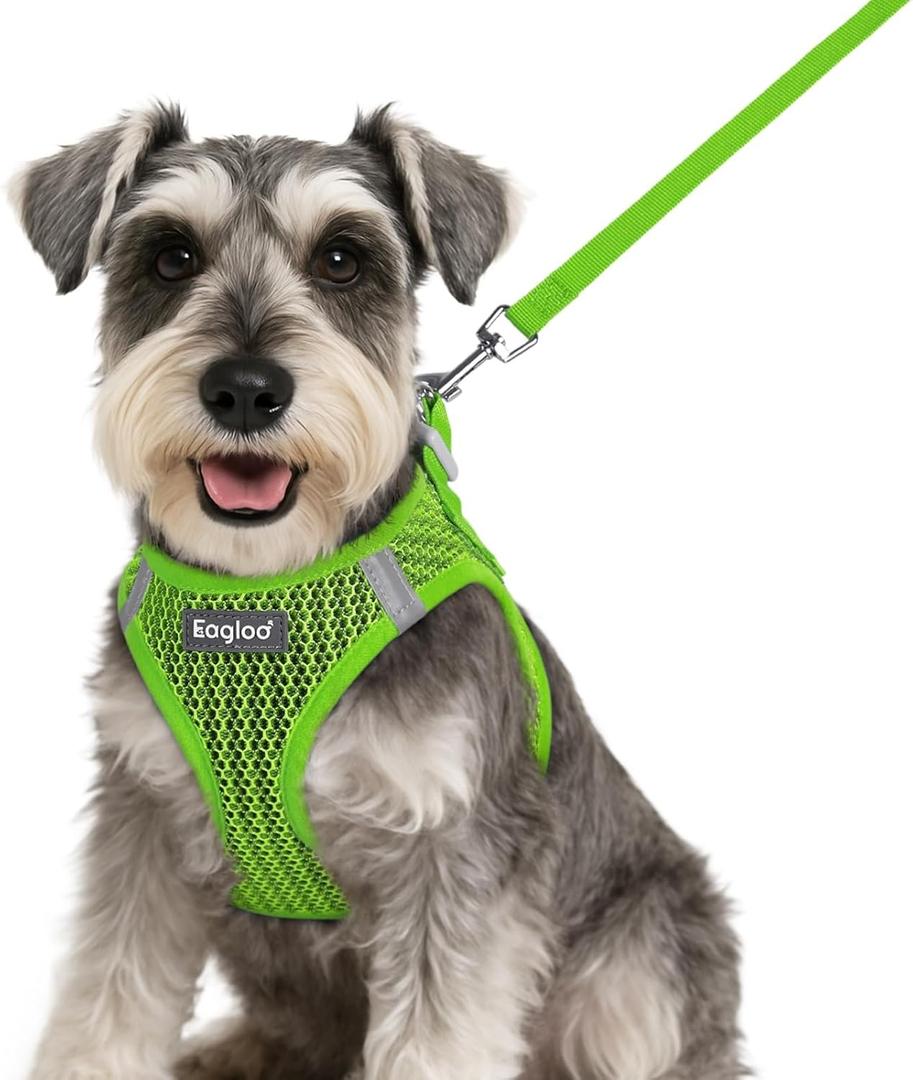 Eagloo Small Dog Harness and Leash Set, Step in Puppy Vest with Breathable Soft Mesh, Walking Reflective Pet Harness for Small Dogs, Green, S (S(Chest:15.1"-16.5"))