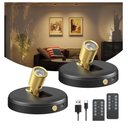 Spot Lights Indoor Led Spotlight: Rechargeable Battery Wireless Up Lights Indoor - Plants Tree Artwork Portrait Picture Display Accent Lighting for Home Decorators Homeowners Art Collectors(2 Pack)