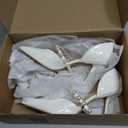 DREAM PAIRS Women's Closed Toe High Heels Stiletto Pointed Toe Strappy Pearl Elegant D'Orsay Dress Wedding Party Pumps Shoes (White) 8.5