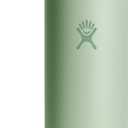 Hydro Flask Water Bottle - Insulated Stainless Steel - Straw Lid, Non Spill, Leakproof 24 Oz Aloe Green