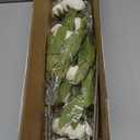 VIERENA 6 Pcs Faux Silk Peony Artificial Flowers for Vase -27", Bulk Fake Peonies Branches with Stems for DIY Bouquet Centerpieces Wedding Fillers Arrangements Shower Decorations (Cream)