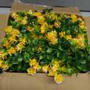 RECUTMS 3 Pcs Green Garland with Lights Fern Hanging Light Fake Hanging Vines Spring Garland with Lights Green Leaf Vines for Spring Home Wall Mantel Party Wedding Fireplace Decoration, (Yellow)