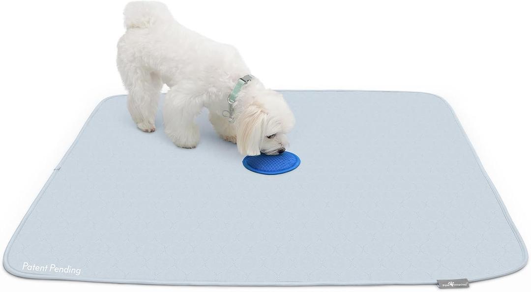 2ct Paw Inspired Speed Spot Go Here Potty Training Puppy Pads with Pop Up Urine Attractant Target | Washable, Reusable Dog Pee Pads with Pheromone Scent Patch for Housebreaking (36x36 Inch Size)