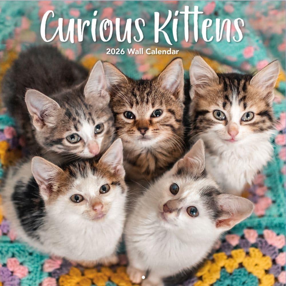 TURNER PHOTOGRAPHIC Curious Kittens 12x12 Photo Wall Calendar (26998940017)