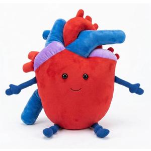 Jumbo 20" Anatomical Heart Plush - Extra Large Human Heart Stuffed Animal & Huggable Pillow - Perfect Open Heart Surgery Recovery Gifts, Cardiology Gifts, and Emotional Support Plush Anatomy Doll