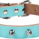 Basic Classic Adjustable Genuine Cow Leather Pet Collars for Cats Puppy Dogs (Medium, Blue-Spiked Rivet) (Medium / Neck 10.5"-13")
