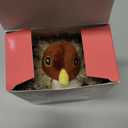 Potaroma Cat Toys Chirping Birds 2 Pcs with Catnip SilverVine, Interactive Cat Kicker, Lifelike Birdie Tweets, Indoor Kitty Kitten Exercise Toys 4.0"