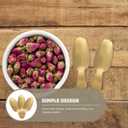 Operitacx Short Handle Dessert Spoon Stainless Steel Ice Cream Scoop Tea Coffee Sugar Spoon for Party Gathering and Everyday Use