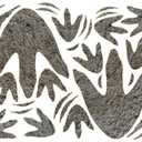 150 Pcs Dinosaur Decor Dinosaur Footprints Wall Decals, Peel and Stick Dinosaur Footprint Stickers, Realistic Dinosaur Footprint Wall Stickers Suitable for Baby Room Bedroom Decoration (Grey 150 Pcs)