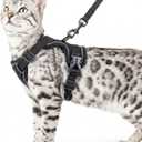 Cat Harness and Leash Set Escape Proof Tactical Large Kitten Harness Emotional Support Cat Vest, Black, L