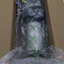 Fuel Pump E3542M Replacement for Compatible with 2000-2005 Chevy Impala/Monte Carlo, Buick Century/Regal, Oldsmobile Intrigue, Pontiac Grand Prix 3.1L 3.4L 3.5L 3.8L V6