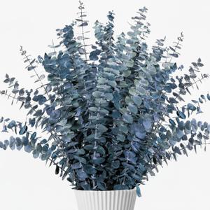 26Pcs Real Dried Eucalyptus Stems, 17" Blue-Green Preserved Eucalyptus Stems for Vase, Home Decor, Farmhouse, Dried Flowers Table Centerpiece Arrangement