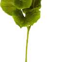 Nearly Natural 29in. Lotus Artificial Leaf (Set of 12)