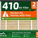 410 Replacement Bamboo Filter for Homes with Pets, Kids, Seniors & Pregnant