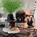 5 Pcs Halloween Picks and Sprays Green Artificial Curly Willow Branches 27.4Inch Floral Twig Stems Sticks Vase Fillers Green Halloween Ornament for Centerpieces Party Holiday Christmas Decorations