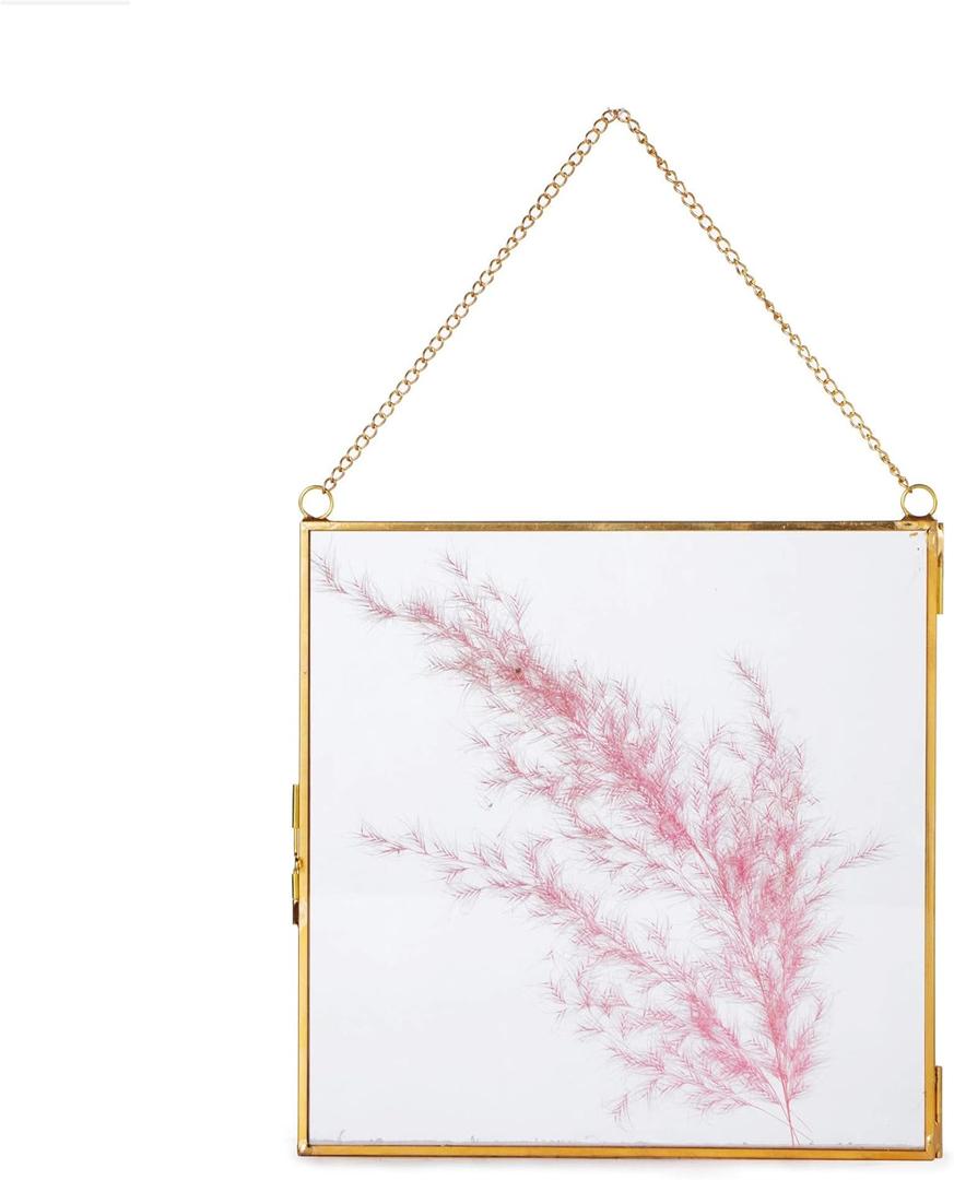 NCYP Double Glass Floating Frame 8" x 8" for Pressed Dried Flowers, Photo, Picture - Modern Indoor Wall Hanging Vertical Decor, Plant Specimen Clip, Gold, Handmade, Glass Frame Only