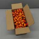 44PCS Artificial Fall Berry Stems Branches, 8.6 Inch Faux Orange Holly Fall Berry Picks and Sprays, Falls Floral Picks Ornaments for Autumn Thanksgiving Wreath Table Vase Centerpiece DIY Decorations