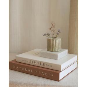 Beautiful Decorative Books - Set of 2 Boxes Enhance Your Coffee Table, Bookshelf or Mantel Shelf Decor - Aesthetic Fake/Faux Books for Modern Home Decoration, Photo Storage and as a Keepsake Box
