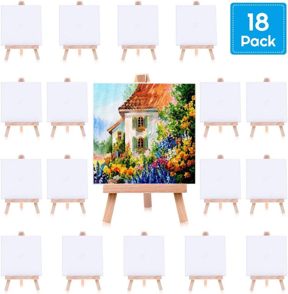 Mini Canvases 18 Pack, Cridoz Small Painting Canvas with Mini Easel 4x4 Inches Art Canvases Painting Kit for Adult Acrylic Pouring Oil Water Color