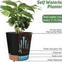 Indoor Self Watering Planters with Drainage Holes and Saucers, 8, 7, 6.5, 6, 5.5, 5 Inches, Black, 6 Pots