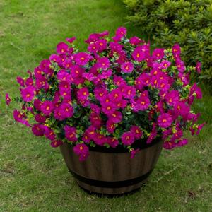 Lnoicy Artificial Flowers for Outdoor 12 Bundles Eucalyptus Fake Flowers for Planter,UV Resistant Fake Morning Glory for Home/Porch/Garden DecorationMagenta