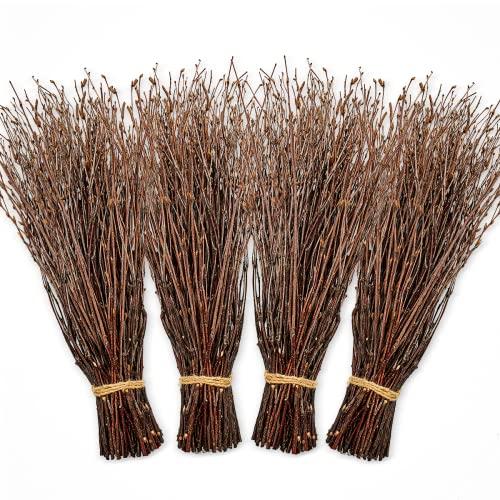 Alater 200pcs Birch Twigs 100% Natural Birch Branches for Decorating, DIY Crafts, Flower Arrangement – Decorative birch sticks for Vase, Centerpieces, Halloween Broom, Dried Plants Home Decor (17inch)