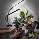 Bloom Lume LED Grow Lights for Indoor Plants Full Spectrum - Features Multi Mode Color Spectrums, Dimmable, Auto Timer, Clip on Gooseneck Plant Lamp