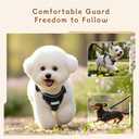Small Dog Harness and Leash Set, Reflective Soft Breathable Mesh Vest, 3 Buckles, Adjustable Neck and Chest,Step in Dog Harness for Walking, Running, Training, Black, XS
