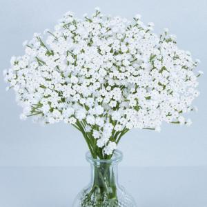 MAQIAHN 6 Baby Breath Artificial Flowers - Babies Breath Flowers Artificial Bulk Faux Flowers Bouquet White Flores Greenery Real Touch Fake Flowers Arrangements Wedding Centerpieces Tables Decorations