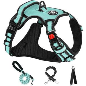 NESTROAD No Pull Dog Harness,Adjustable Oxford Dog Vest Harness with Leash,Reflective No-Choke Pet Harness with Easy Control Soft Handle for Large Dogs(Large,Turquoise) (Lneck 15-19" chest 19-29")