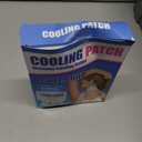 Instant Cooling Ice Packs for Outdoor Activities Summer Heat Relief - Large Disposable Cooling Patches for Neck Body, Camping Hiking Sports, Instant Temperature Drop 30 Pack