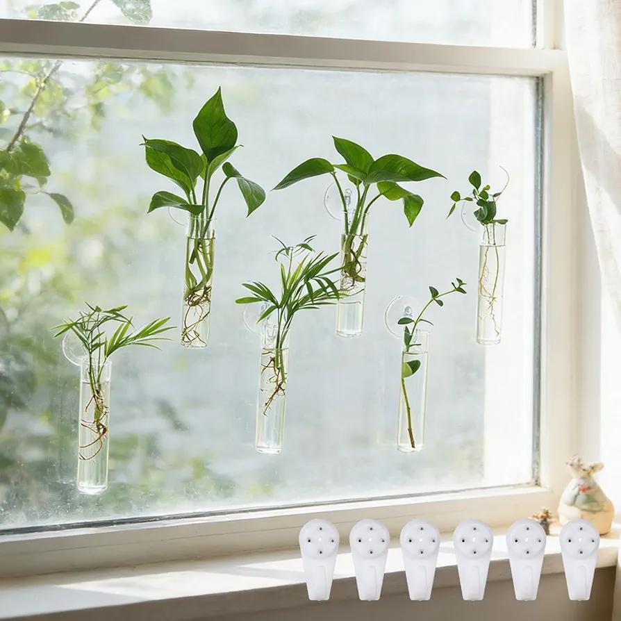 6 pcs Window Propagation Stations, Plant Propagation Tubes with suckion Cups & Nails, Easy to Install Wall Hanging Planter Propagation Station, Glass Plant Terrarium Vase