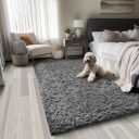 Ophanie Upgrade 3x5 Rugs for Bedroom, Grey, Fluffy Shaggy Soft Area Rug, Gray Non-Slip Indoor Floor Carpet for Living Room, Kids Baby Boys Teen Dorm Home Decor Aesthetic, Nursery, Rug