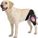 Noorace Dog Knee Brace for Torn ACL/CCL & Hind Leg Support - Adjustable Brace for Arthritis Relief, Joint Stability & Injury Recovery - Fits Small & Medium Dogs