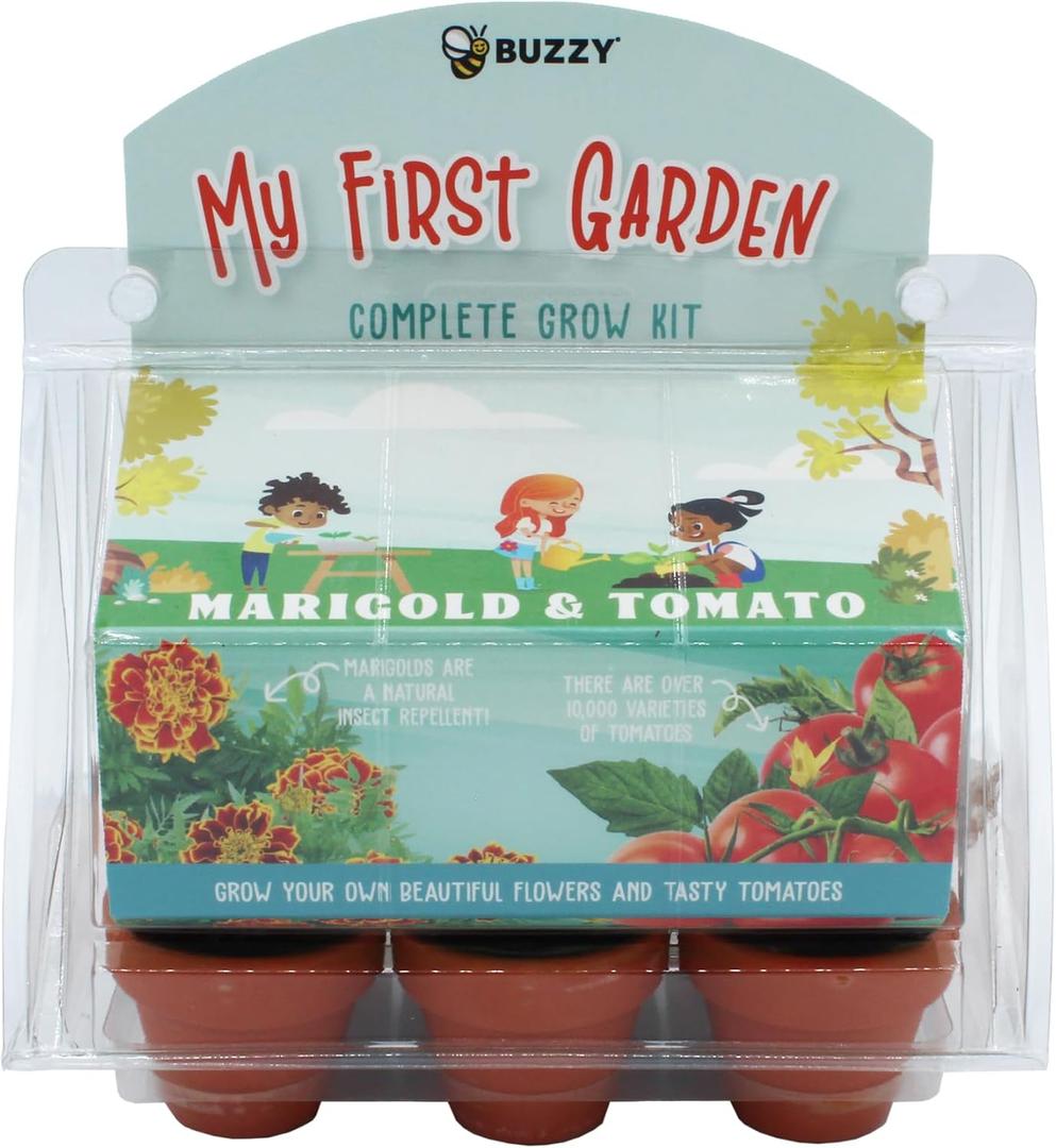 BUZZY Seeds Mini Greenhouse 6Pot Flower and Vegetable Seed Starter Kit for Kids and Adults | Organic Cherry Tomato and Marigold Seeds | Grow Indoor Gardening | Kids Gardening, Terracota