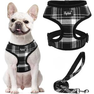 PUPTECK Soft Mesh Dog Harness and Leash Set Pet Puppy Cat Comfort Padded Vest No Pull Harnesses, Black, L (L (Neck: 17", Chest: 18.8"-24"))